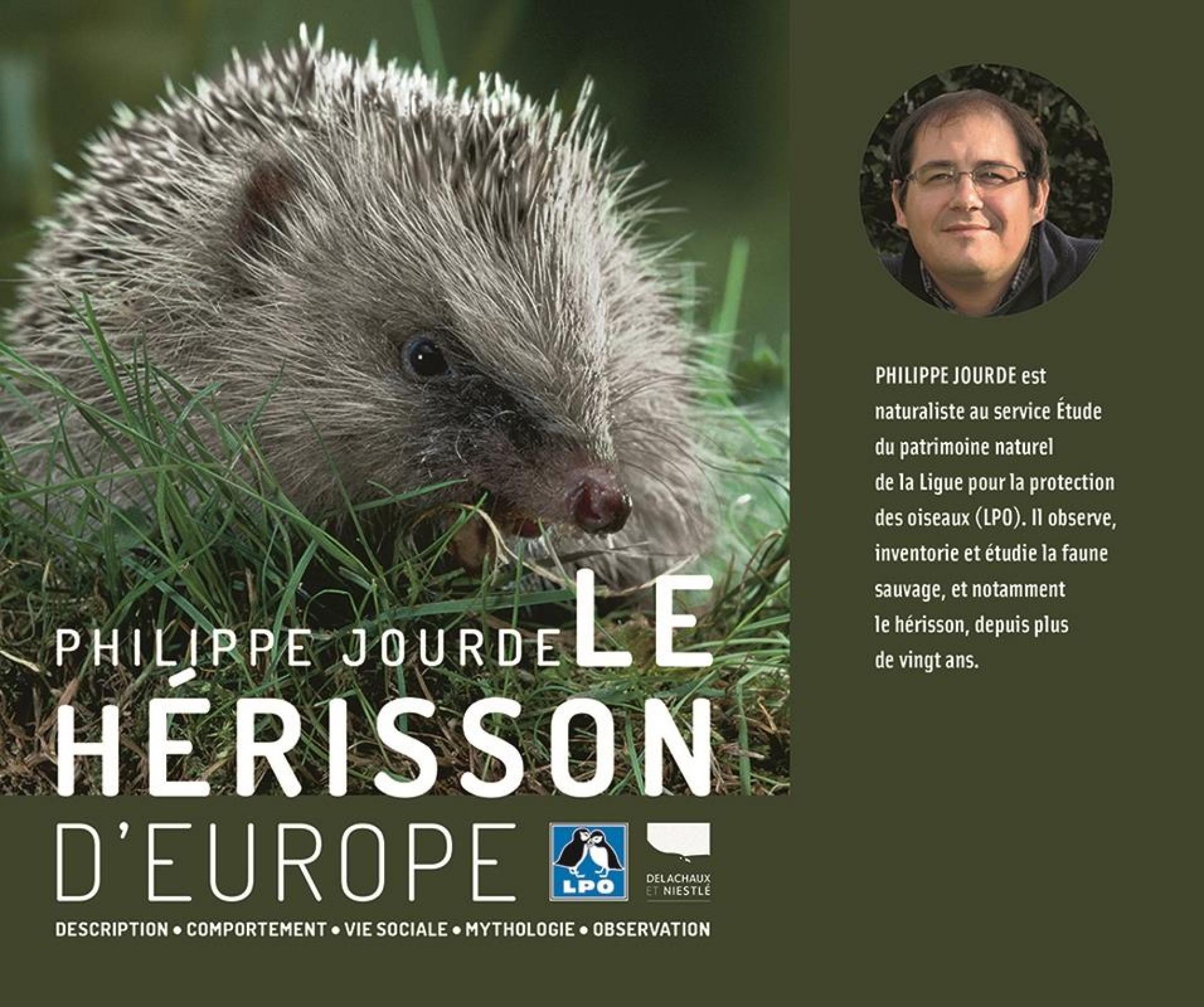 Le hérisson dans le jardin, un allié contre les limaces!