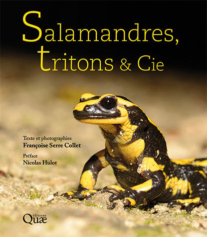 Salamandres, tritons & cie – édition Quae