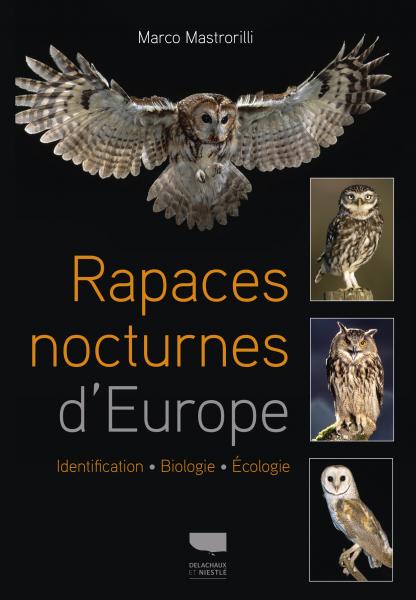 rapaces-nocturnes-europe